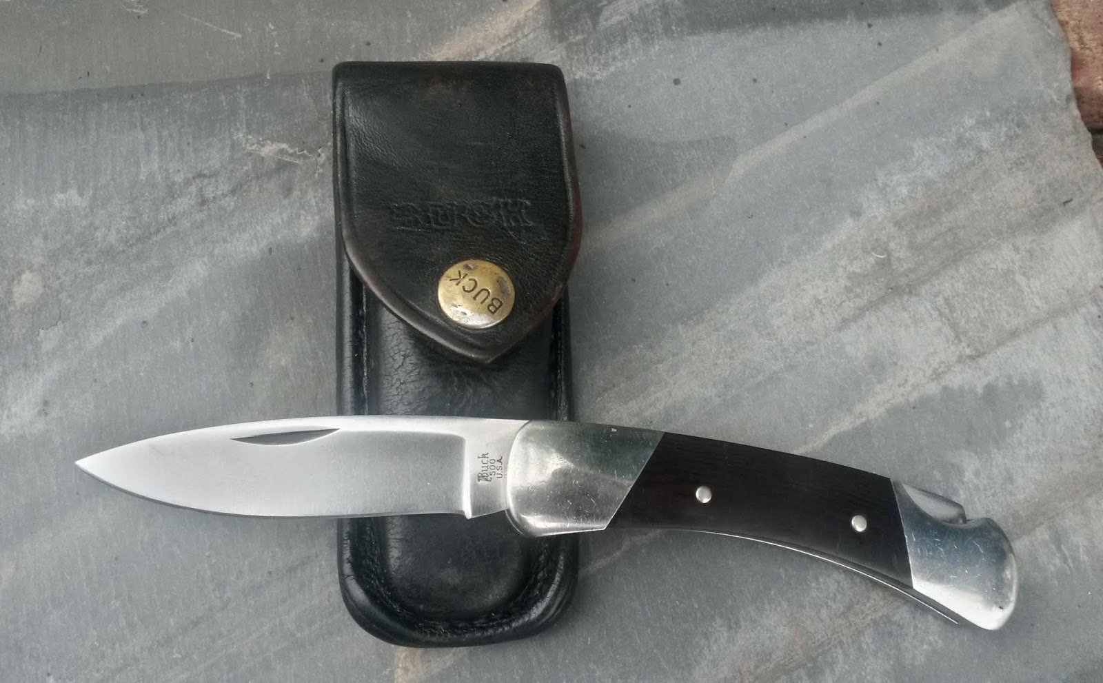 Buck500_01.jpg