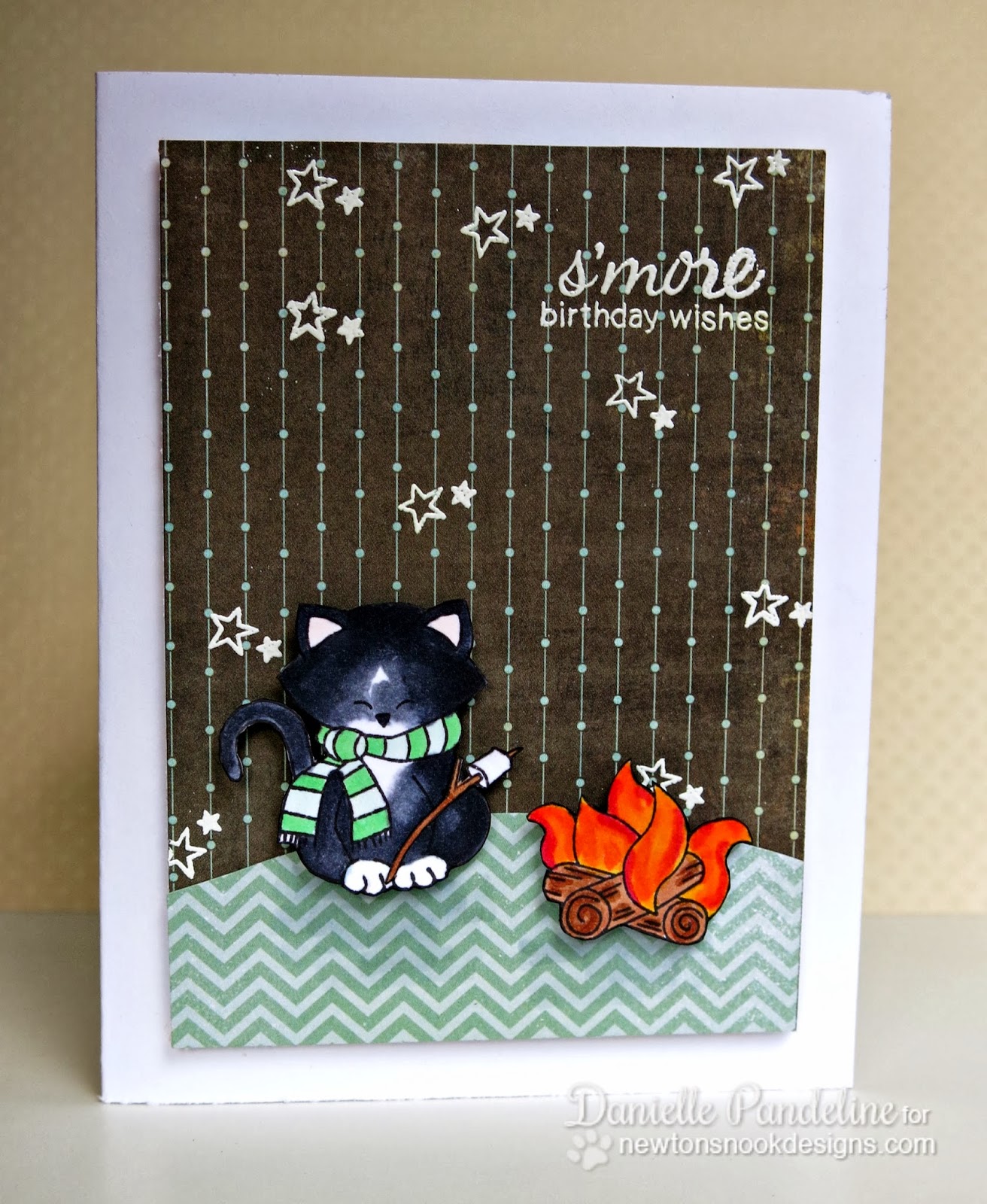 Campfire Birthday card by Danielle Pandeline for Newton's Nook Designs