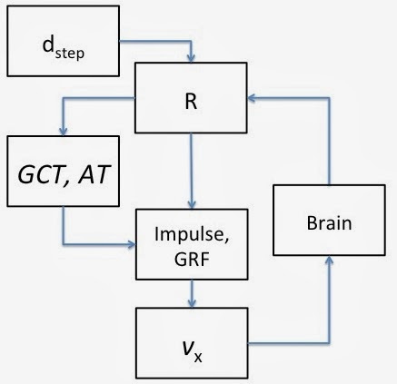 running commentary?: Running strides part 2: Takeoff angles and other ...