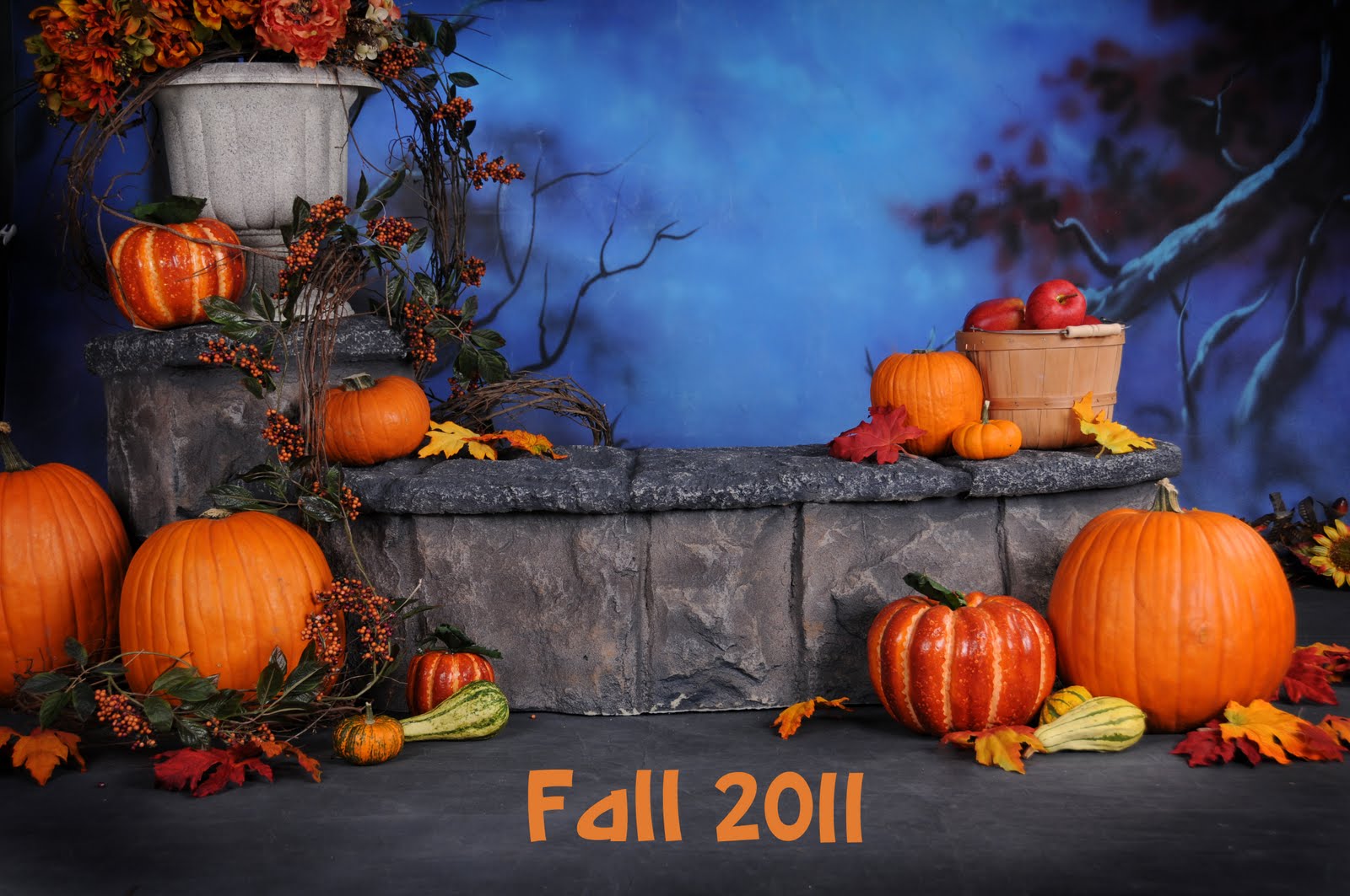 Joan Delatte Photography Fall Halloween 2011 Now Booking
