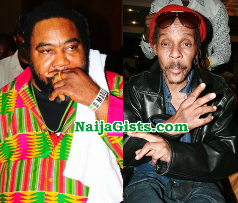 ras kimono majek fashek fighting