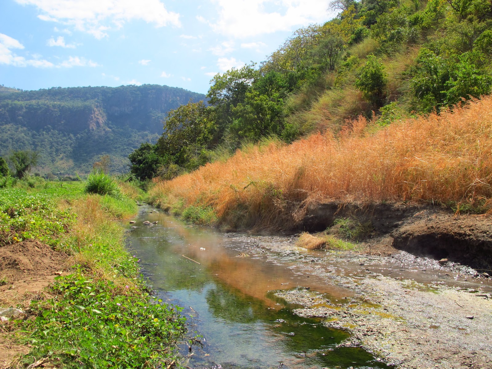 Leo in Malawi: Hot spring close to Chiweta and walk participants