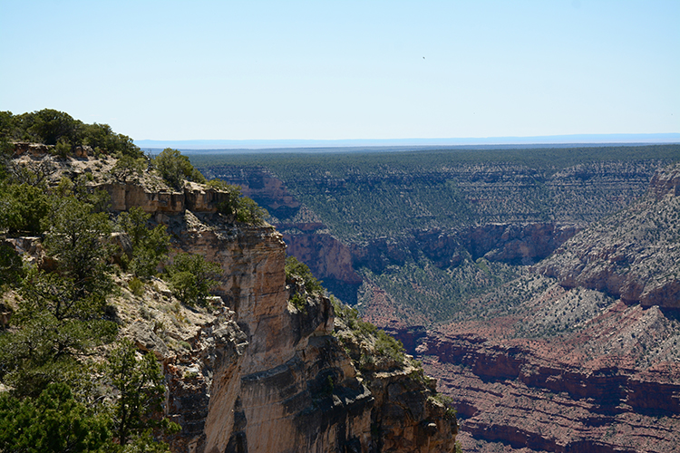Grand Canyon - South Rim | My Darling Days Grand Canyon - South Rim | My Darling Days