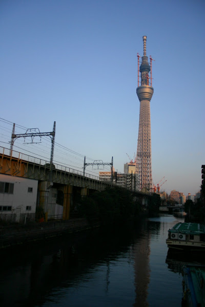 枕橋から見た建設中(574m)の東京スカイツリー