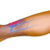 Do You Suffer From Poor Circulation? Here It Is How To Solve The Problem In Only 20 Minutes!