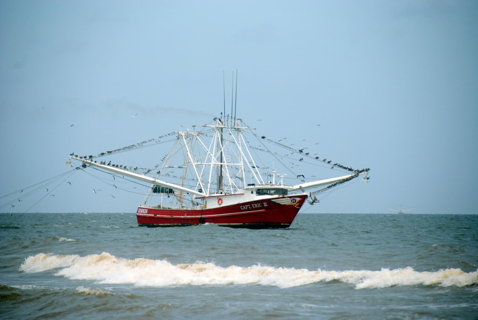 the Grabers Birds on Dauphin Island (and alligators!)