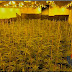 Un fraude eléctrico destapa una plantación de marihuana y acaba con un detenido en Barakaldo