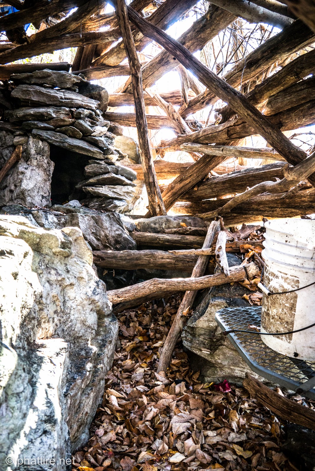 Squirrel Hunting Frederick Watershed