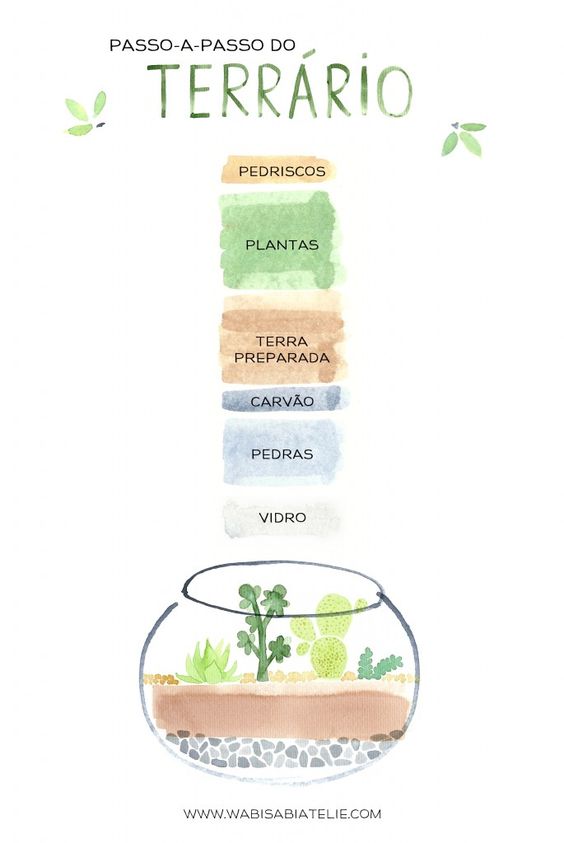 Blog Achados de Decoração, Como fazer um terrário Blog Achados de Decoração, Como fazer um terrário