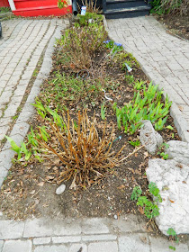 Spring garden cleanup Leslieville after Paul Jung Gardening Services Toronto