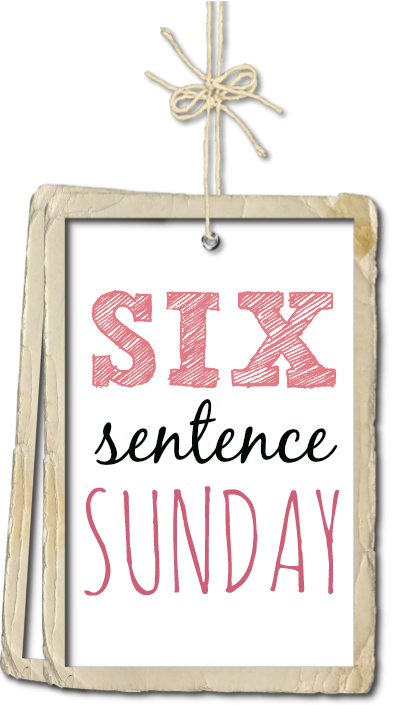 Six Sentence Sunday on Southern In-Law