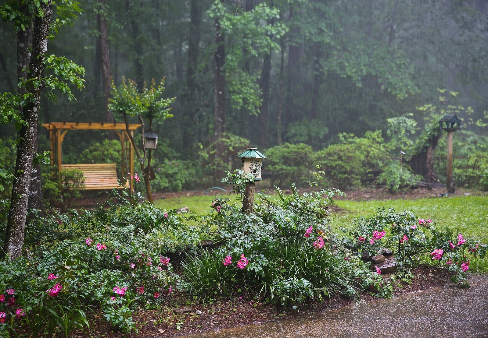 Sweet Southern Days: January 2016