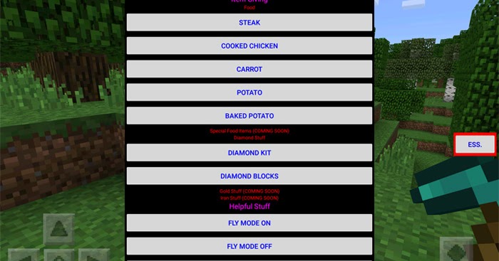 Survival Essentials Mod