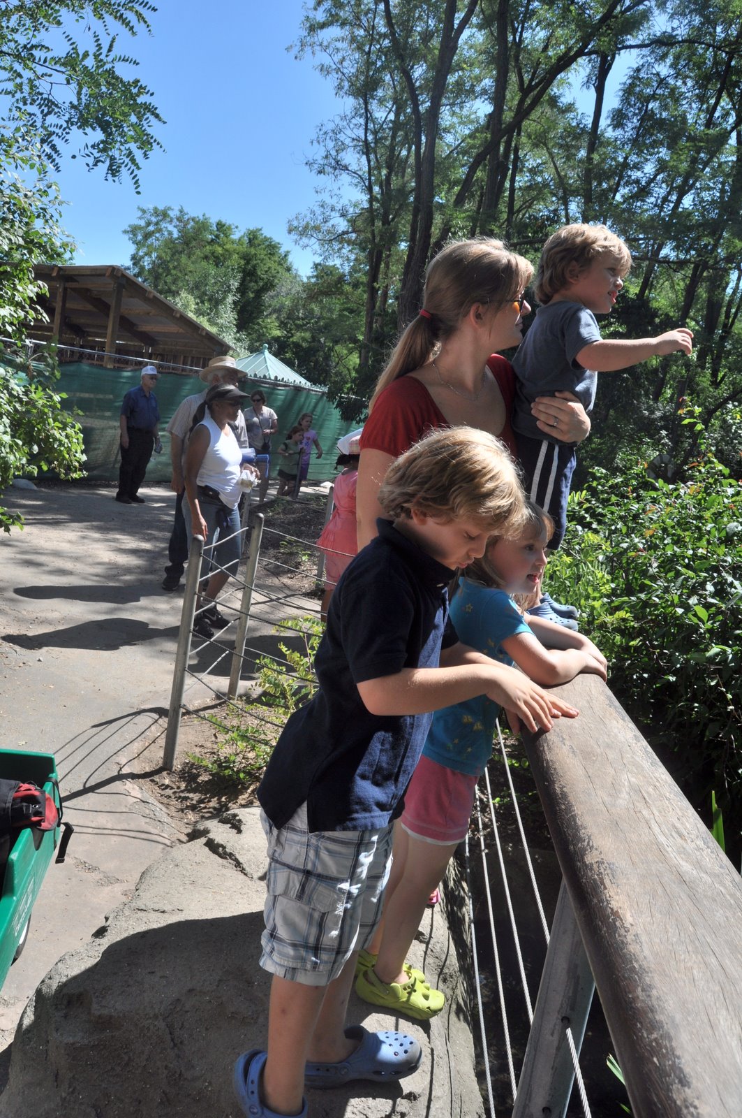 Adventures in Insanity Ohio Zoo