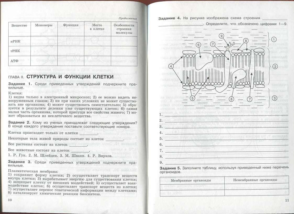 Бруссия: Рабочая тетрадь по биологии
