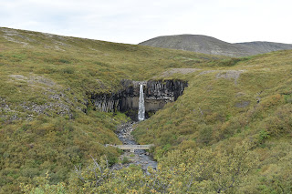 Islandia - 12 dias por libre - Blogs de Islandia - Día 05:De Vik a Djúpivogur. Glacier Walk Vatnajökull,Jökulsárlón y Diamond Beach (21)