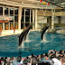アクアワールド茨城県大洗水族館ハロウィンパーティー