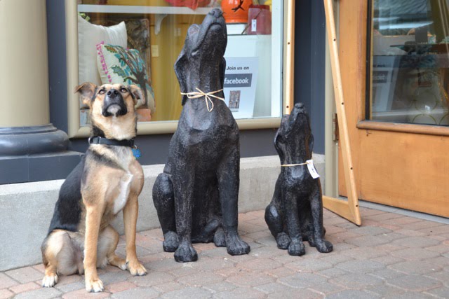 A dog impostor dog statues, funny dog picture, funny dog, dog picture