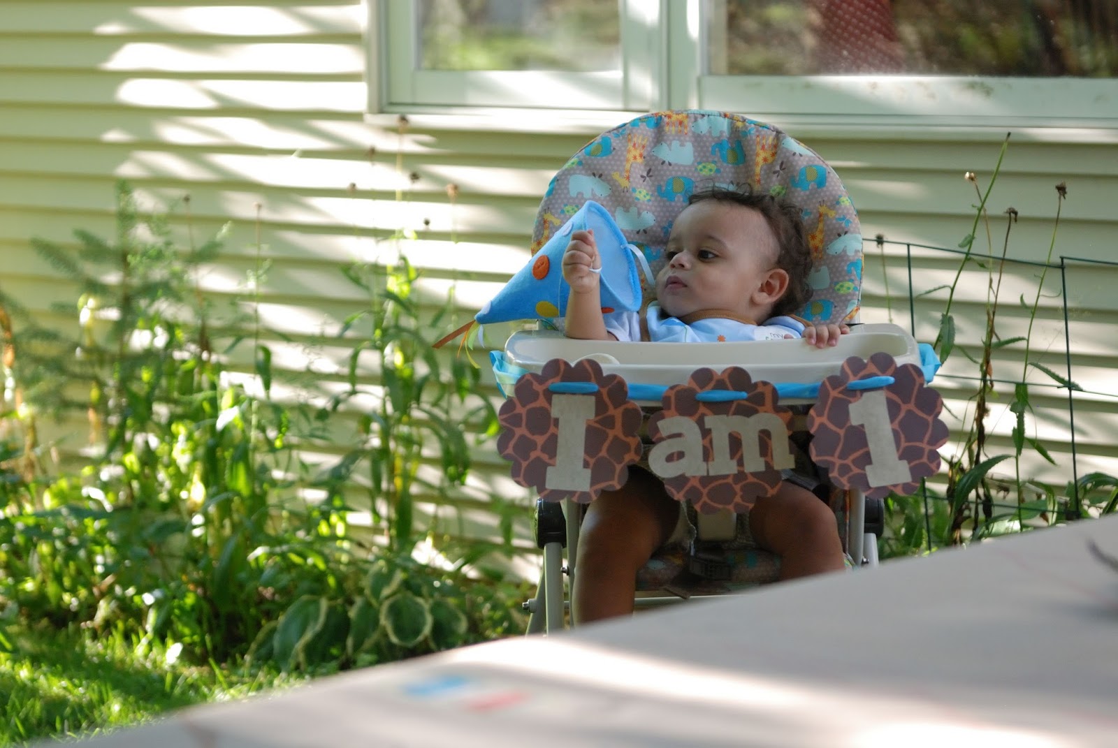 three-cats-and-a-baby-jayden-s-first-birthday-party