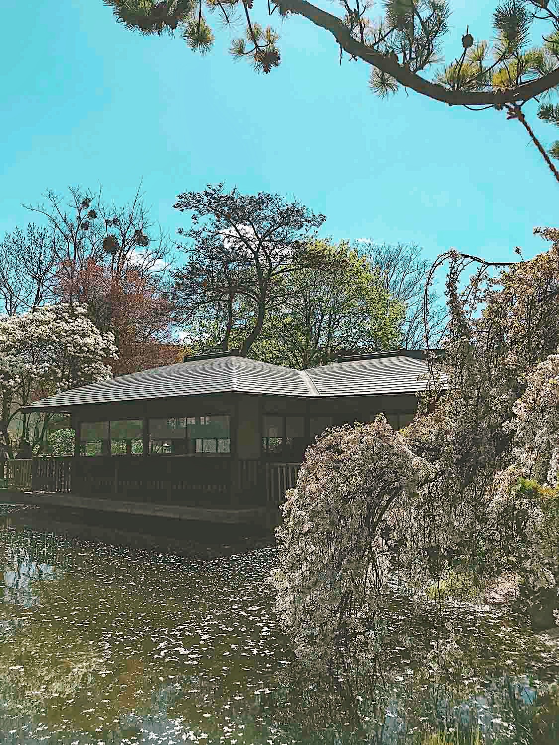 Bushcooks Kitchen Romantischer Weihnachtsmarkt Im Gutsgasthof