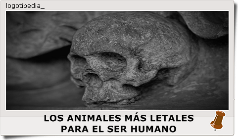 LOS ANIMALES MÁS LETALES PARA EL SER HUMANO