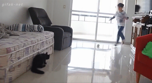 20 صورة متحركة Gif مضحكة مداد الجليد