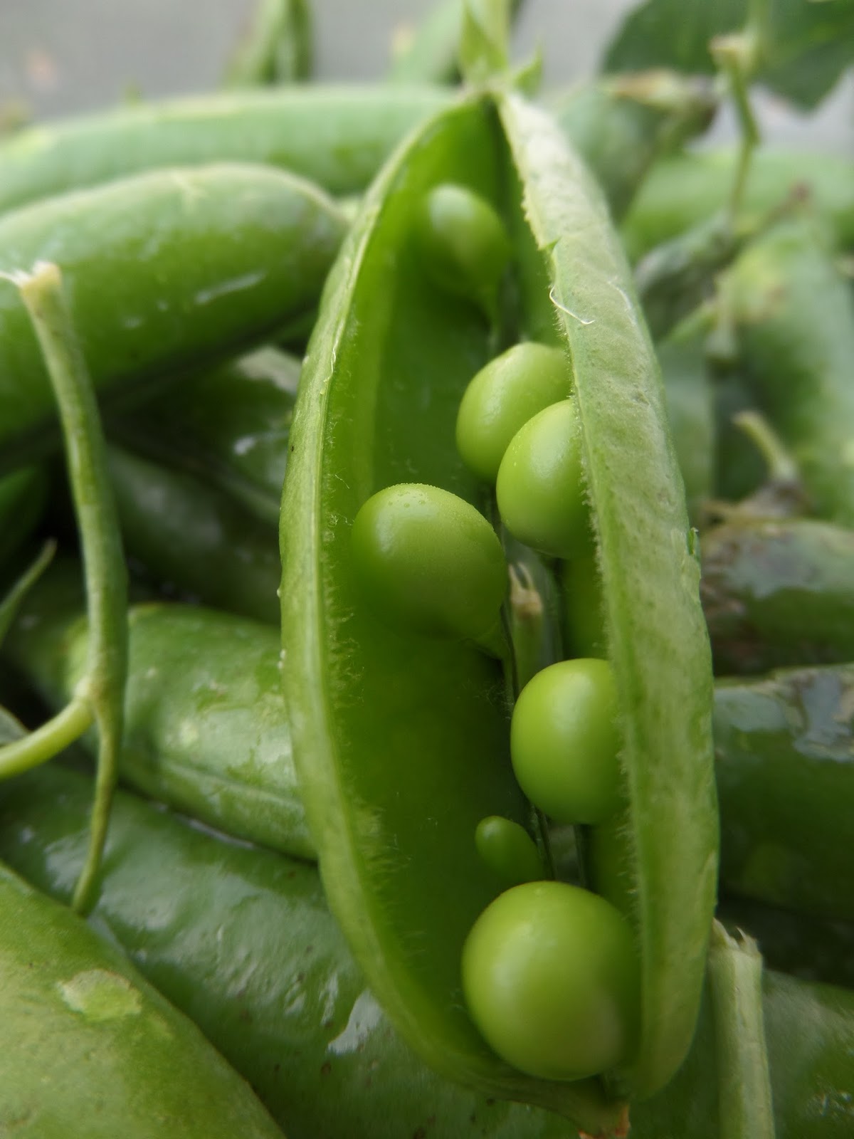 Nowaste recipe Pea pods soup // Recette antigaspi la soupe de