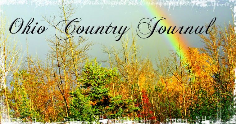 Ohio Country Journal