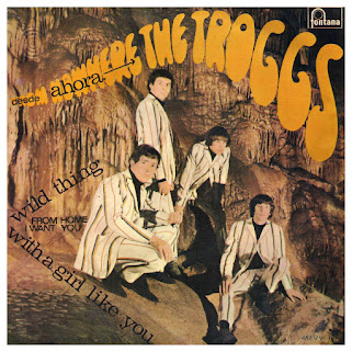 Wild thing The Troggs