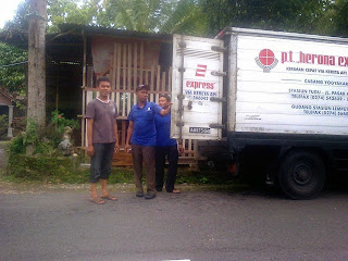 Raja Kroto Bagus Budidaya Kroto Ternak Kroto Cara Order Bibit