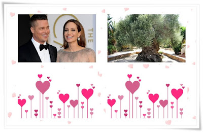 Valentine's Day: presente de Angelina Jolie para Brad Pitt