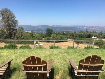 view from vineyards at Mayacamas Estate experience at Long Meadow Ranch in St. Helena, California