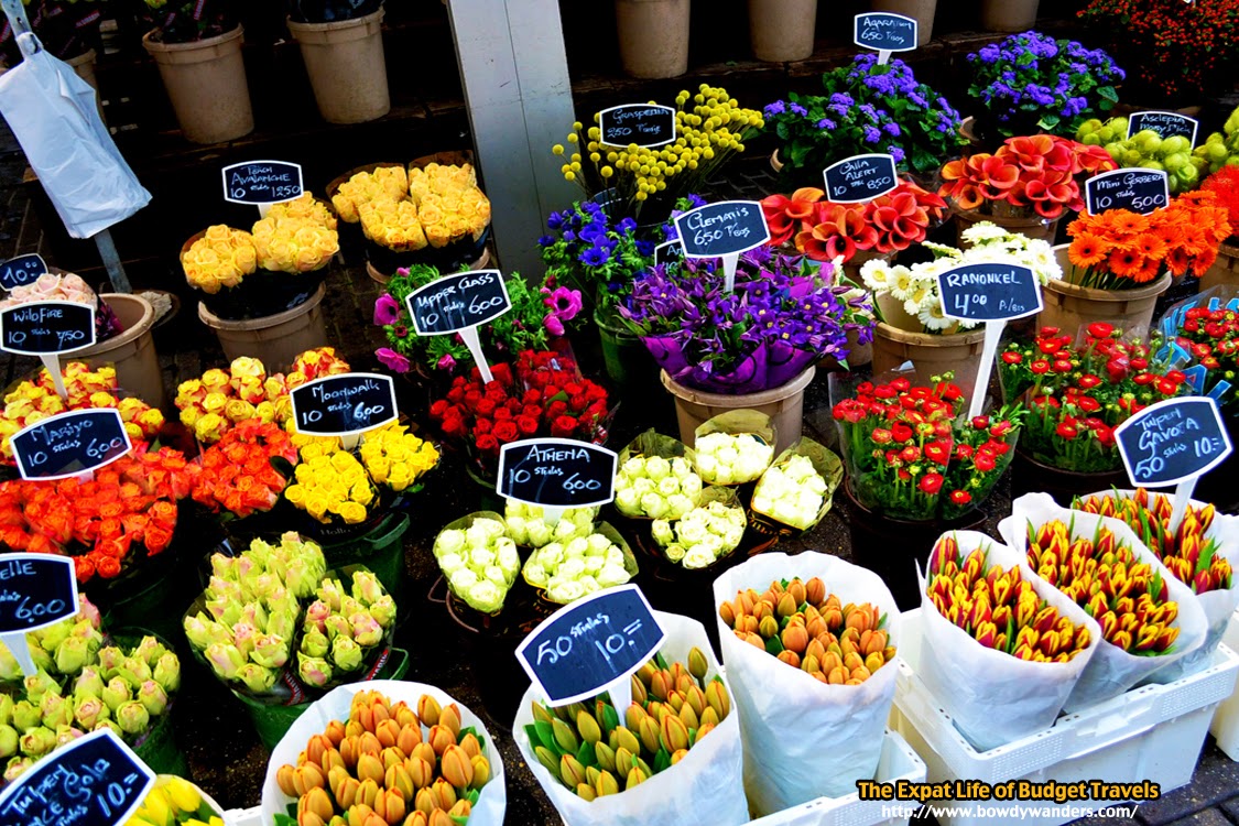 bowdywanders.com Singapore Travel Blog Philippines Photo :: Amsterdam :: The Surprisingly Smart Way to Find Holland Flowers in Amsterdam
