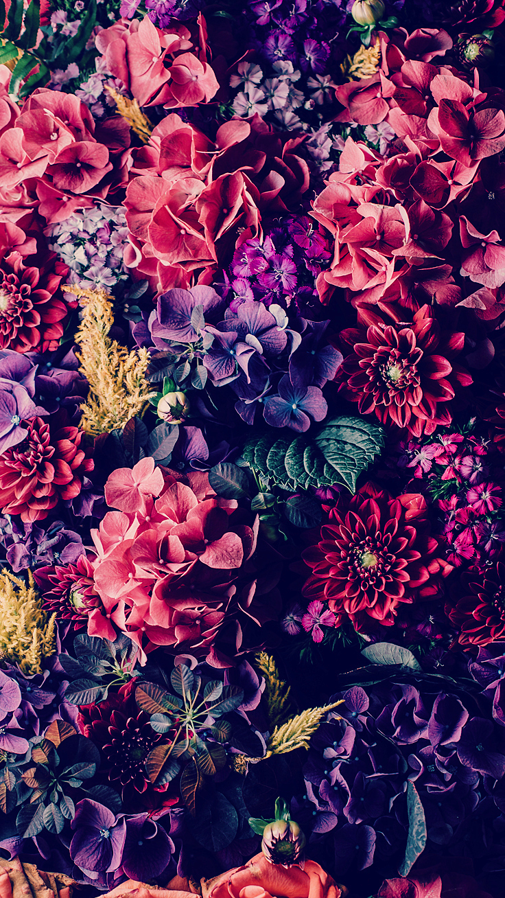 Floral2-iphone-wallpaper-1.jpg