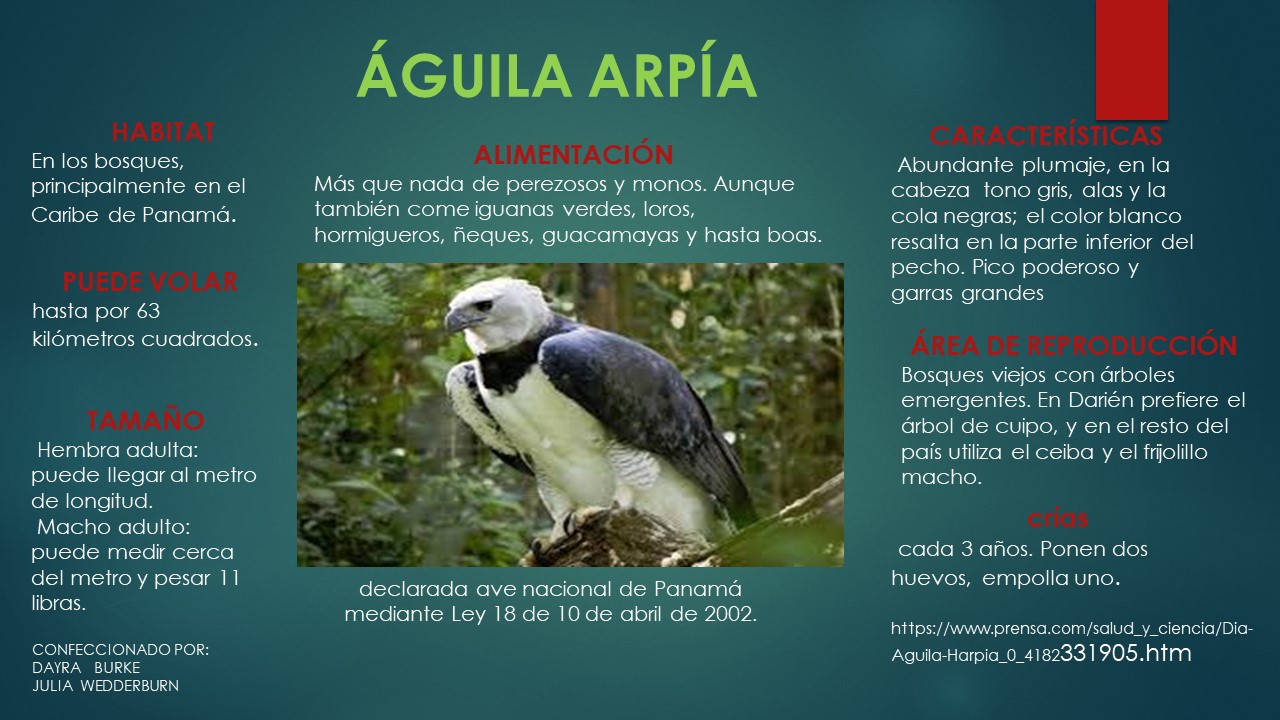 Estrategias didácticas La Salle Colón AGUILA ARPIA Estrategias didácticas La Salle Colón AGUILA ARPIA