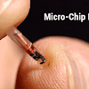 Image result for 32M Becomes First-Ever Company to Implant Micro-Chips in Employees