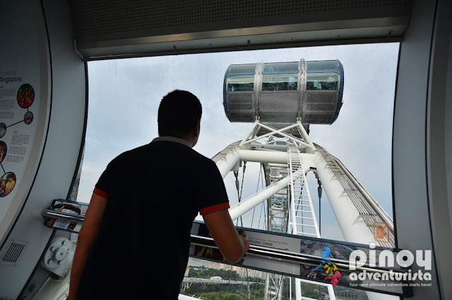 What to do in Singapore Flyer