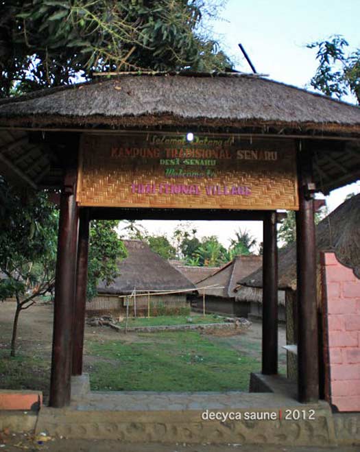 desa adat senaru lombok utara