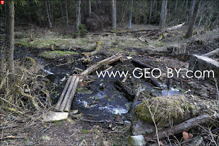 Негорельский учебно-опытный лесхоз. Пешеходный мост через безымянный ручей