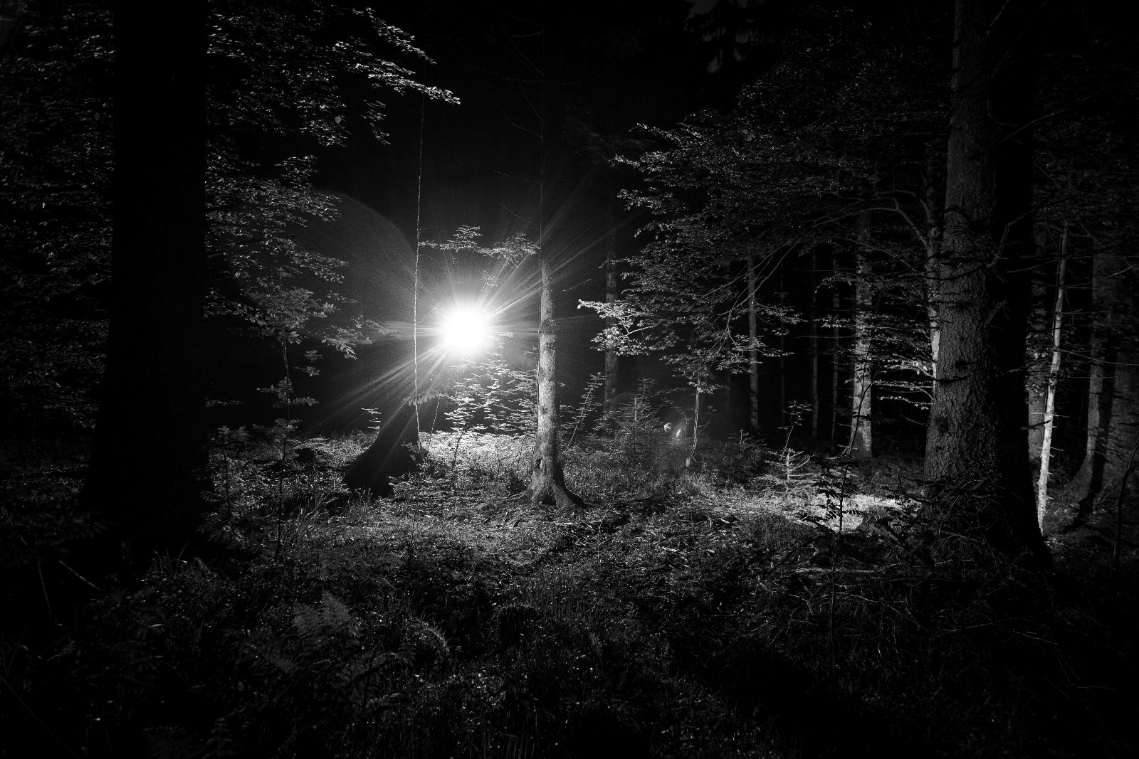 Dark electronic music ambient. Dark ambient music. обои для рабочего стола dark ambient. мрачный эмбиент. дарк эмбиент.