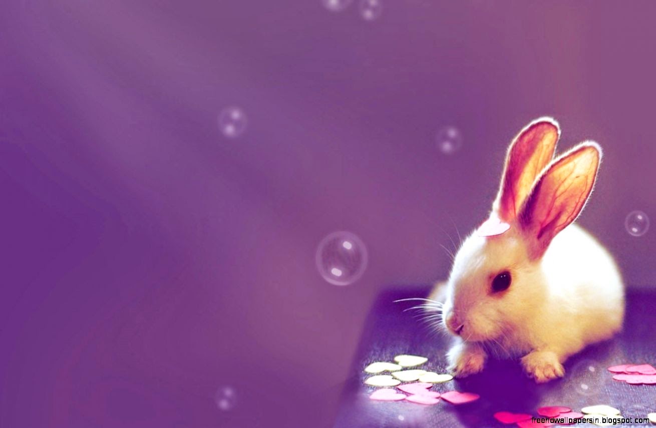 30 Cute Desktop Background Pictures   Pic Eager