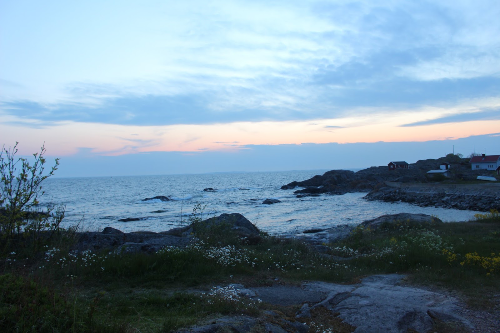 Team Vildmark Landsort Öja