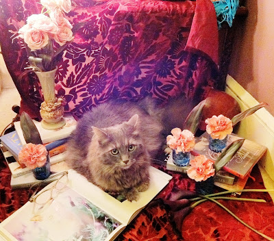 Cecilia is catching up on some of her cat reading - Stein Your Florist Co. Cecilia is catching up on some of her cat reading - Stein Your Florist Co.