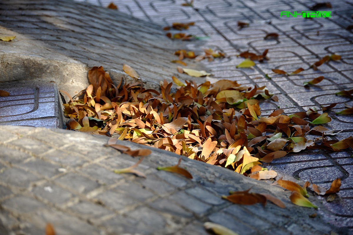 Hình ảnh có liên quan