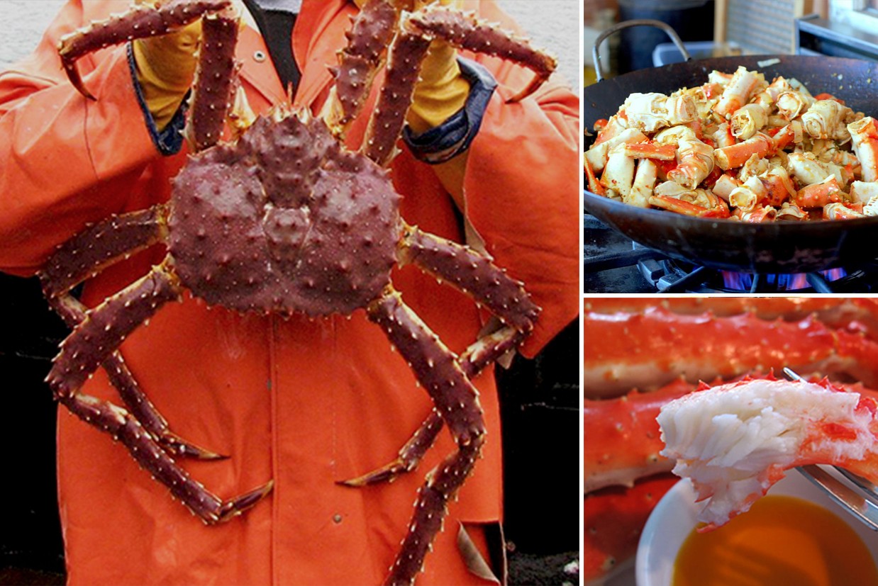 Crab for Sale Online - Frozen Mud Crab Supplier, Crab Meat Seller, Crab