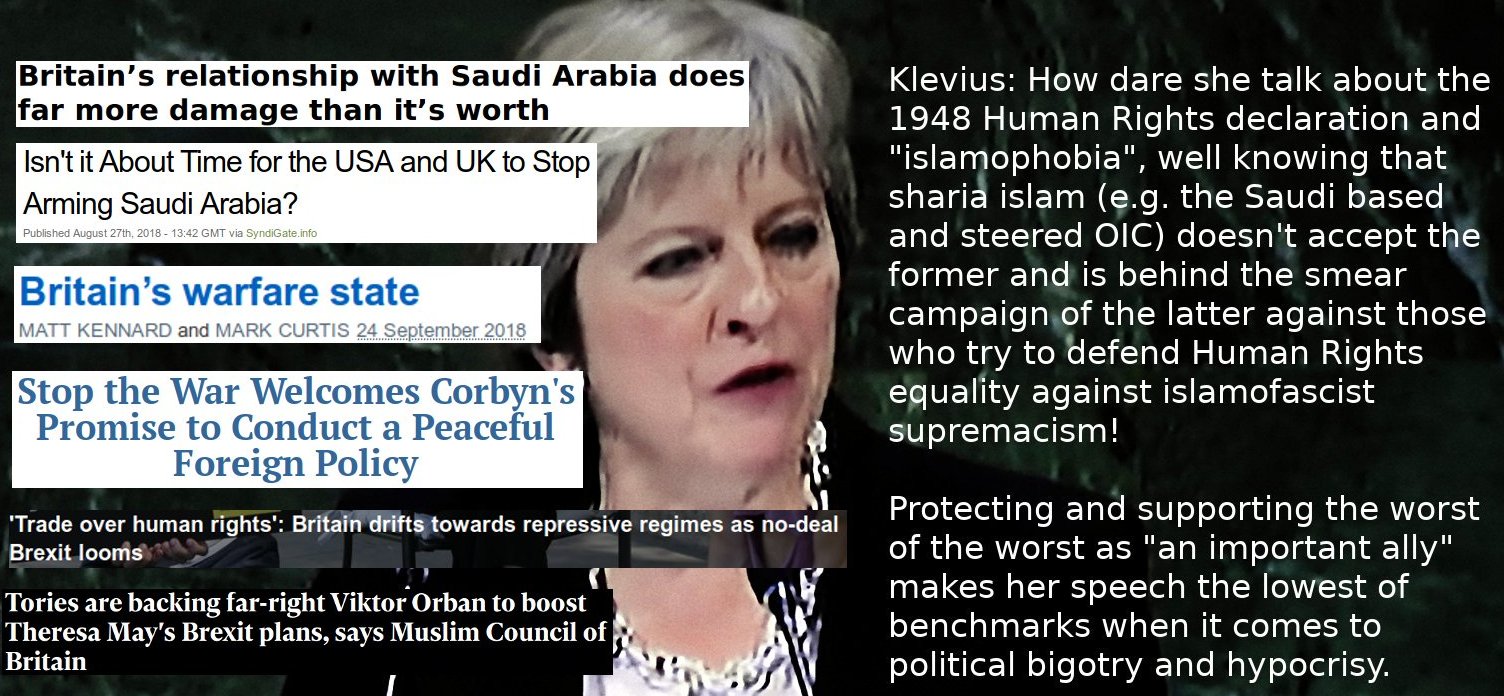 A "close ally" of the islamofascist Saudi dictator family mixes OIC sharia with Human Rights