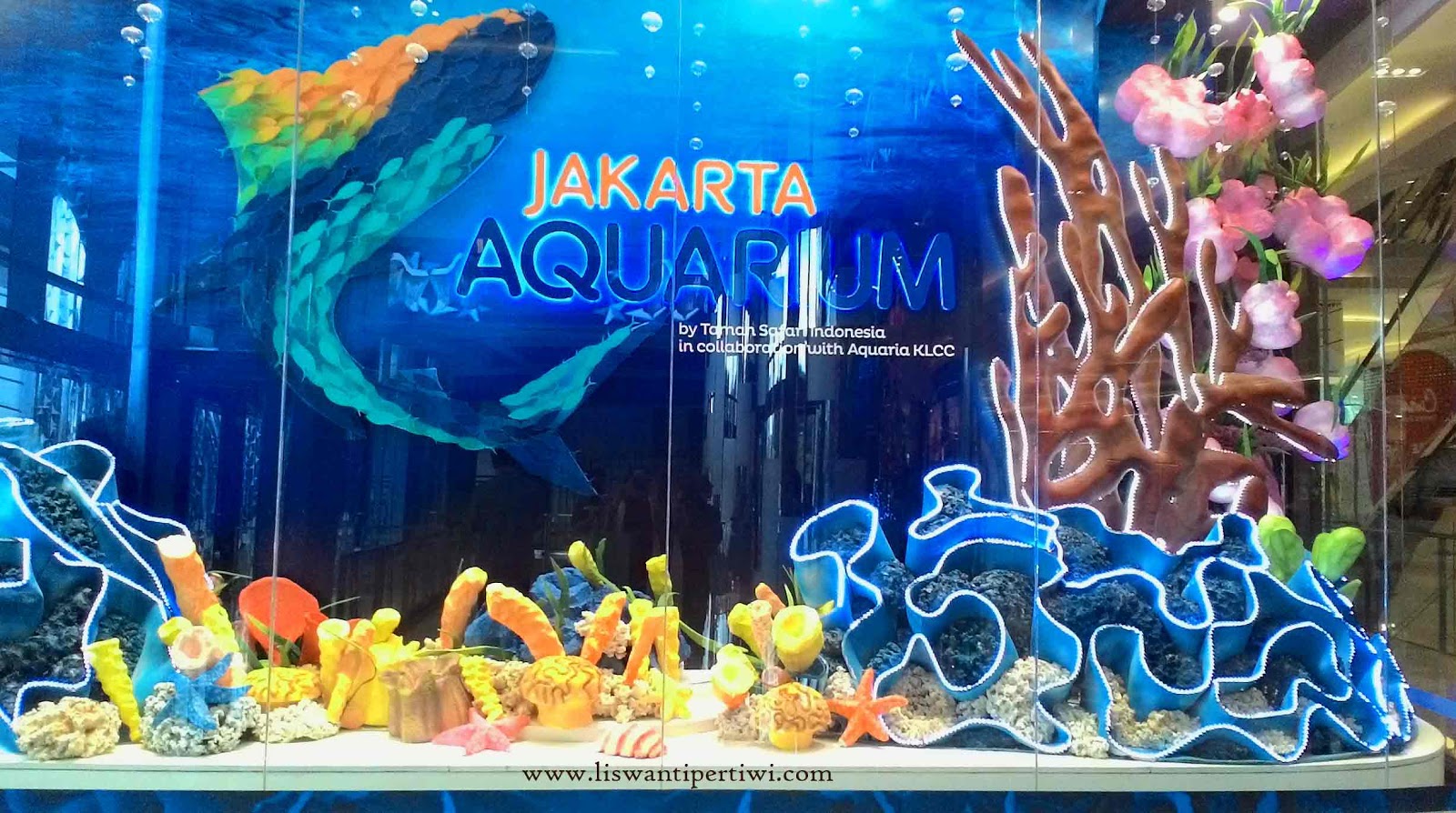 Melihat Penguin Dari Dekat Di Jakarta Aquarium Liswanti Pertiwi