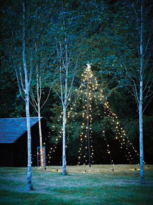 Зимнее волшебство от Cox&Cox;