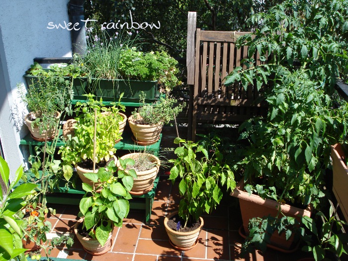 Auf dem Balkon ... | Sweet Rainbow
