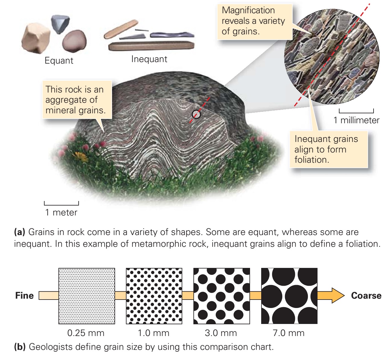Learning Geology The Basis Of Rock Classi cation igneous-rocks-form-out-of-magma-and-lava-from-the-interior-of-the-earth